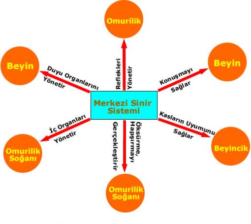 Ad: sistem2.jpg
Gösterim: 1183
Boyut: 26.5 KB