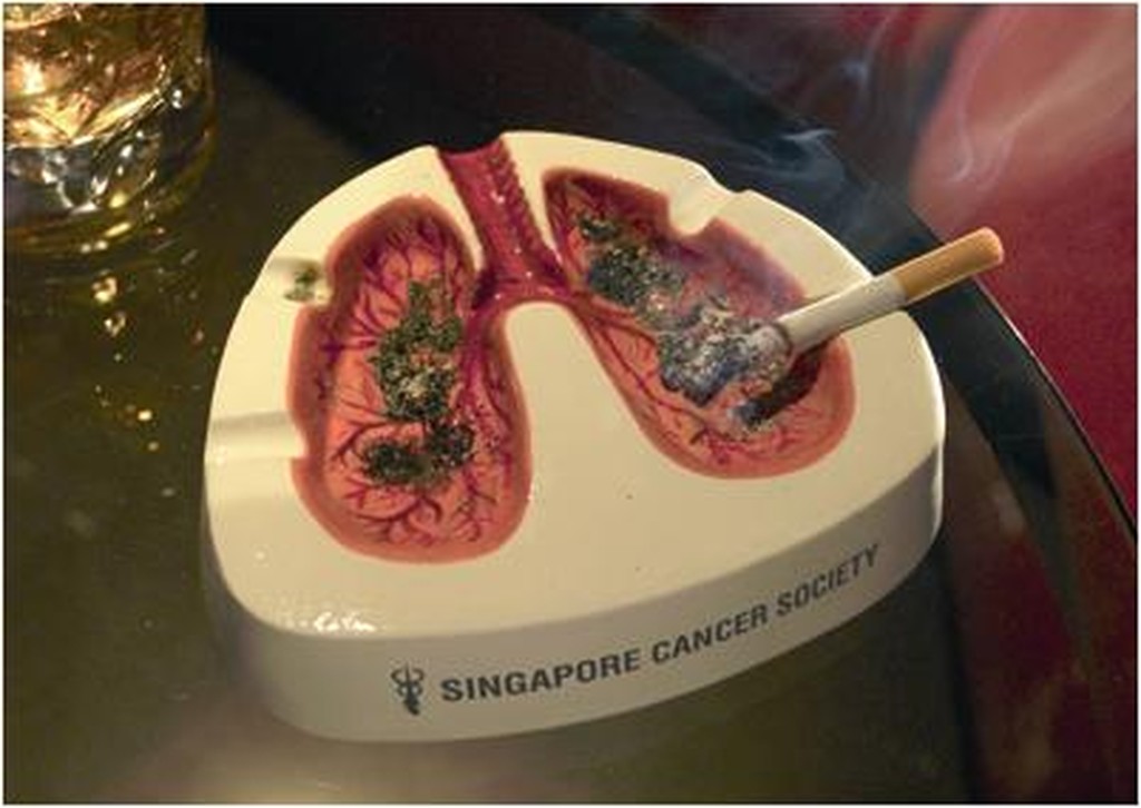 Ad:  sigara11.jpg
Gsterim: 2852
Boyut:  101.0 KB