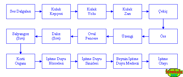 Ad:  ses4.gif
Gsterim: 1179
Boyut:  6.8 KB