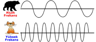 Ad:  ses6.jpg
Gsterim: 479
Boyut:  14.9 KB