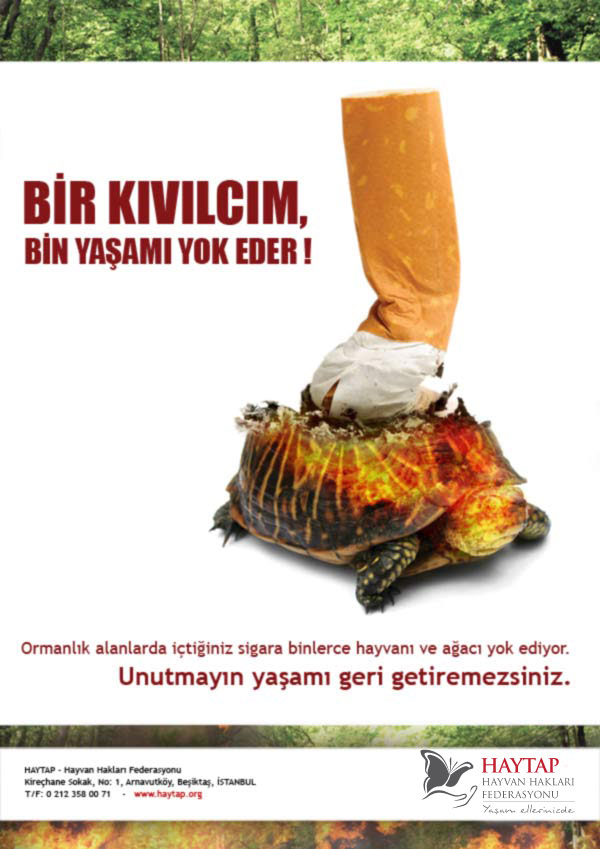 Ad:  yangn2.jpg
Gsterim: 3484
Boyut:  82.0 KB