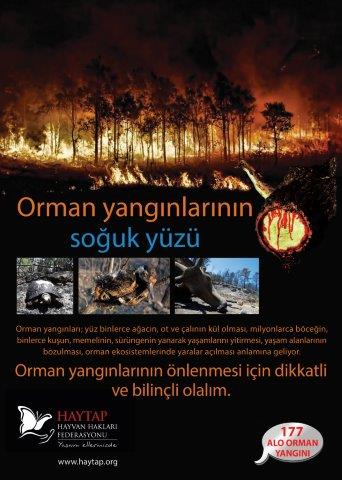 Ad:  yangn7.jpg
Gsterim: 1932
Boyut:  35.3 KB