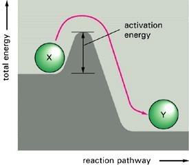 Ad: enerji.jpg
Gösterim: 1403
Boyut: 7.8 KB