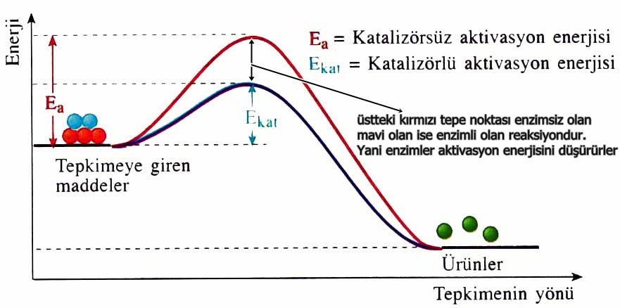 Ad: enerji1.jpg
Gösterim: 5271
Boyut: 130.3 KB