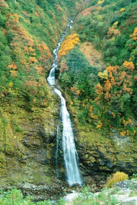 Ad:  gelin-tulu-rize1.jpg
Gsterim: 546
Boyut:  157.6 KB