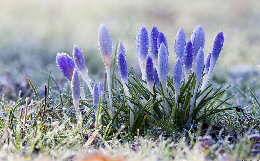 Ad: ÇİY3.JPG
Gösterim: 1834
Boyut: 108.7 KB