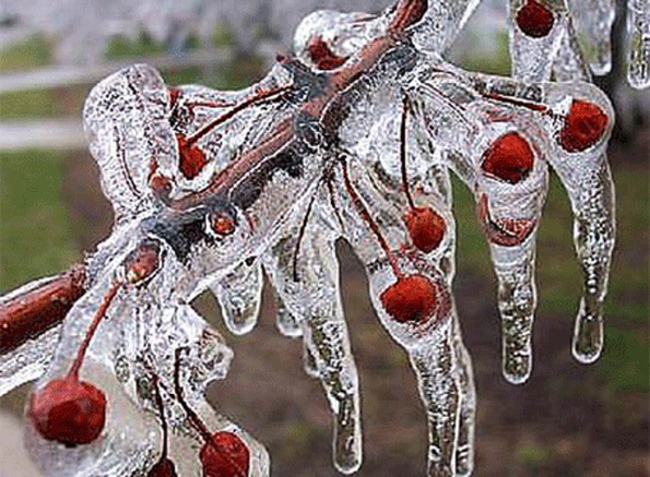 Ad: don1.jpg
Gösterim: 2349
Boyut: 497.9 KB