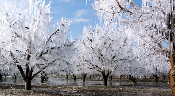 Ad: don.jpg
Gösterim: 2336
Boyut: 228.0 KB