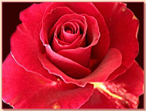 Ad:  gul_290.jpg
Gsterim: 571
Boyut:  33.3 KB