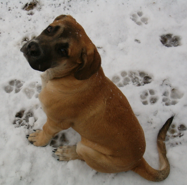 Ad:  cute_hercules.jpg
Gsterim: 201
Boyut:  175.1 KB