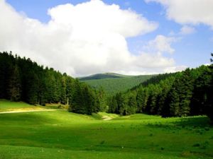 Ad: yayla.jpg
Gösterim: 1245
Boyut: 11.7 KB Ad: yayla.jpg
Gösterim: 1245
Boyut: 11.7 KB
