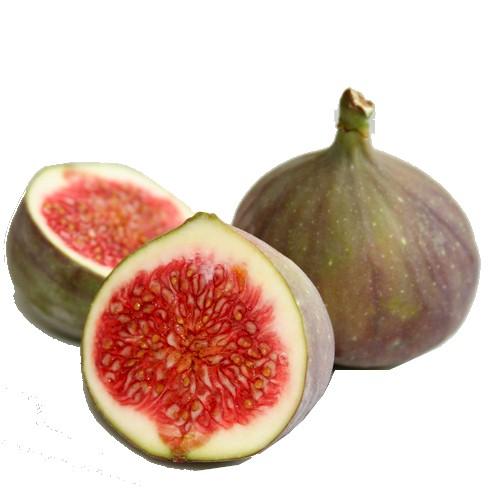 Ad: yemiş1.jpg
Gösterim: 3777
Boyut: 23.3 KB