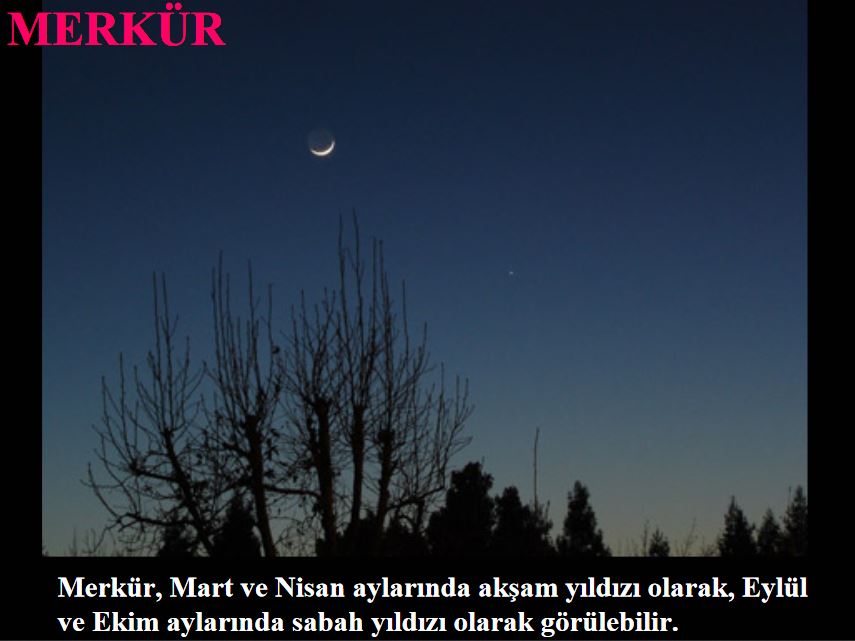 Al�nt�daki Ek 46264