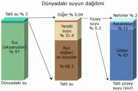 Ad:  gifdnyadaki su dalm.jpg
Gsterim: 3168
Boyut:  18.4 KB