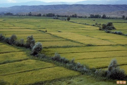 Ad:  tosya.jpg
Gsterim: 35944
Boyut:  31.5 KB