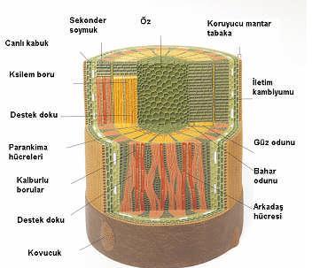 Ad:  govdenin gorevleri.jpg
Gsterim: 5396
Boyut:  20.1 KB