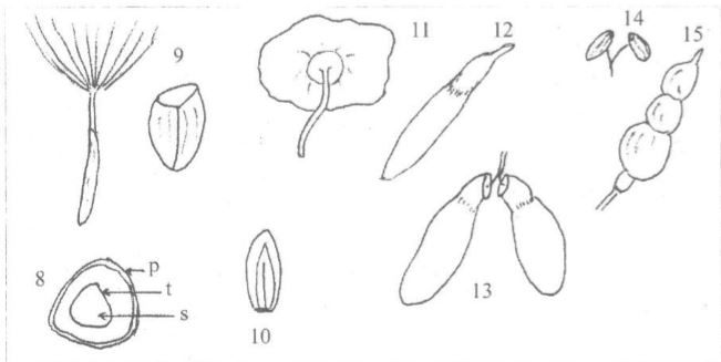 Ad: şekil38.JPG
Gösterim: 4976
Boyut: 27.3 KB