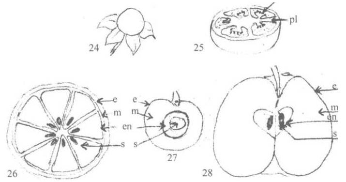 Ad: şekil40.JPG
Gösterim: 4676
Boyut: 34.7 KB