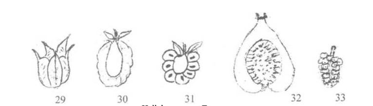 Ad: şekil41.JPG
Gösterim: 4603
Boyut: 22.0 KB