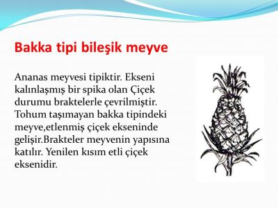 Ad:  bakkatip.jpg
Gsterim: 493
Boyut:  23.7 KB