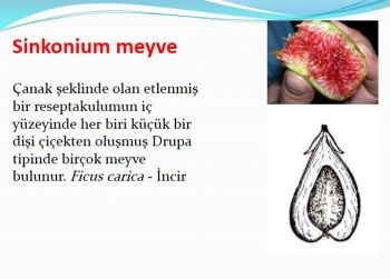 Ad:  sinkonum.JPG
Gsterim: 497
Boyut:  23.5 KB