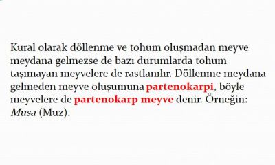 Ad:  muz.JPG
Gsterim: 496
Boyut:  23.2 KB