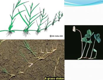 Ad:  gvde2.JPG
Gsterim: 3019
Boyut:  27.4 KB