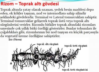 Ad:  gvde3.JPG
Gsterim: 3454
Boyut:  36.8 KB