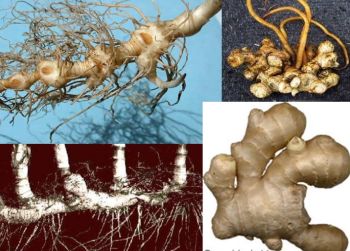 Ad:  gvde4.JPG
Gsterim: 2940
Boyut:  34.0 KB