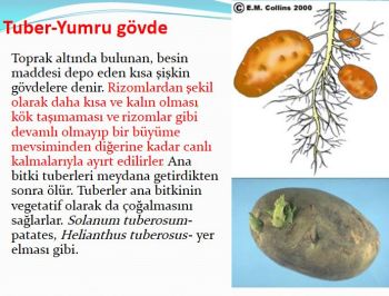 Ad:  gvde5.JPG
Gsterim: 3580
Boyut:  33.3 KB