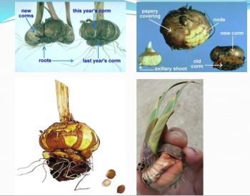 Ad:  gvde8.JPG
Gsterim: 2874
Boyut:  25.2 KB