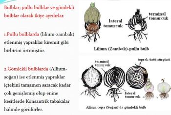 Ad:  gvde9.JPG
Gsterim: 3158
Boyut:  28.5 KB