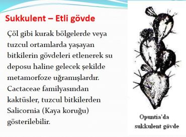 Ad:  gvde11.JPG
Gsterim: 3069
Boyut:  31.3 KB