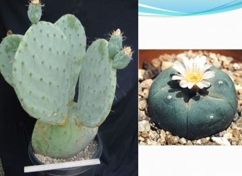 Ad:  gvde12.JPG
Gsterim: 2831
Boyut:  23.5 KB