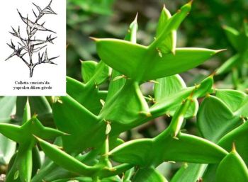 Ad:  gvde17.JPG
Gsterim: 2163
Boyut:  28.0 KB