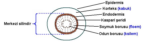 Ad:  gvde ii.JPG
Gsterim: 2647
Boyut:  31.4 KB