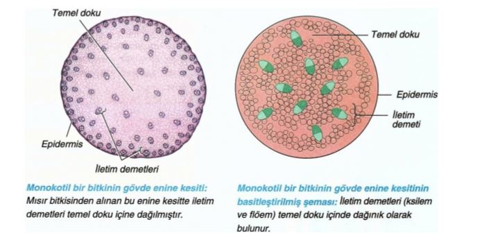 Ad:  otsu gvde ii.JPG
Gsterim: 7636
Boyut:  45.6 KB