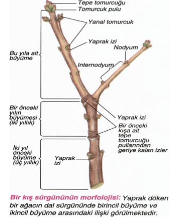 Ad:  byme.JPG
Gsterim: 2295
Boyut:  31.5 KB