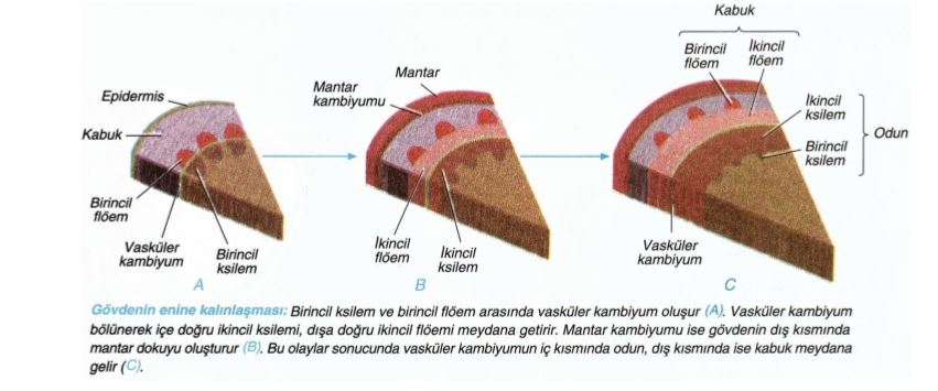 Ad:  byme1.JPG
Gsterim: 2906
Boyut:  50.4 KB