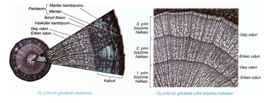 Ad:  byme2.JPG
Gsterim: 2545
Boyut:  69.1 KB