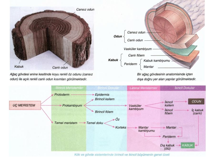 Ad:  byme3.JPG
Gsterim: 2991
Boyut:  88.5 KB