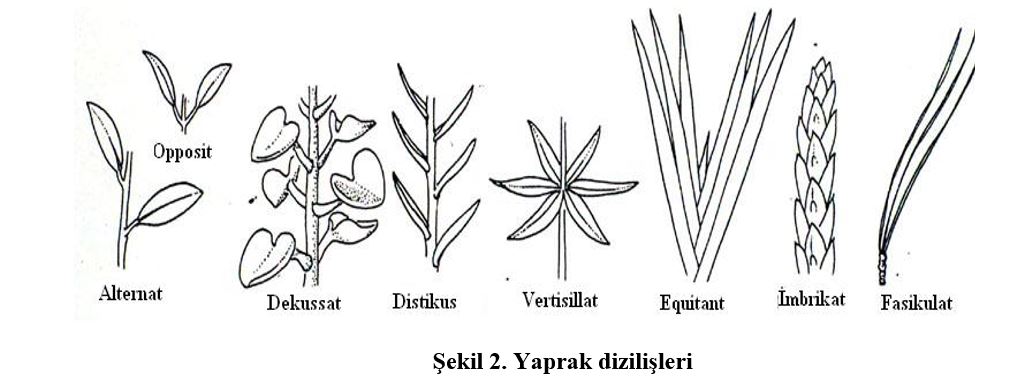 Ad:  yap1.JPG
Gsterim: 12519
Boyut:  60.0 KB