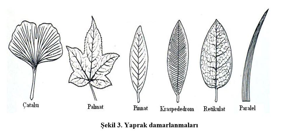 Ad:  yap2.JPG
Gsterim: 17040
Boyut:  69.6 KB