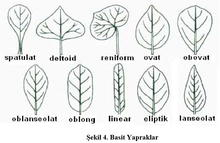 Ad:  yap3.JPG
Gsterim: 12175
Boyut:  69.5 KB