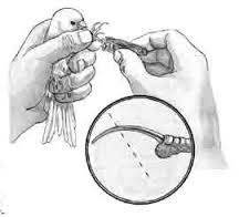 Ad: muhabbet.jpg
Gösterim: 15186
Boyut: 5.9 KB