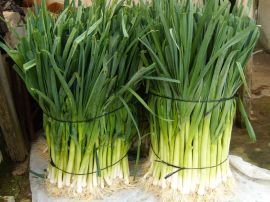 Ad:  prasa4.jpg
Gsterim: 650
Boyut:  16.1 KB