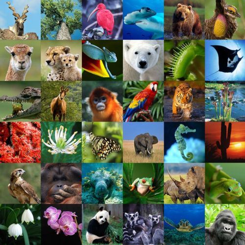 Ad:  biyolojik.jpg
Gsterim: 3435
Boyut:  70.3 KB