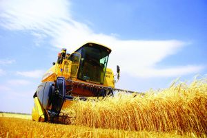 Ad:  tarm.jpg
Gsterim: 1978
Boyut:  13.9 KB