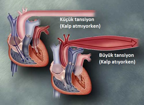 Ad:  tansiyon5.jpg
Gsterim: 5367
Boyut:  30.1 KB