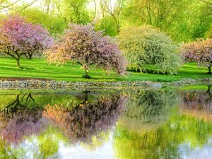 Ad:  bahar3.jpg
Gsterim: 459
Boyut:  23.2 KB